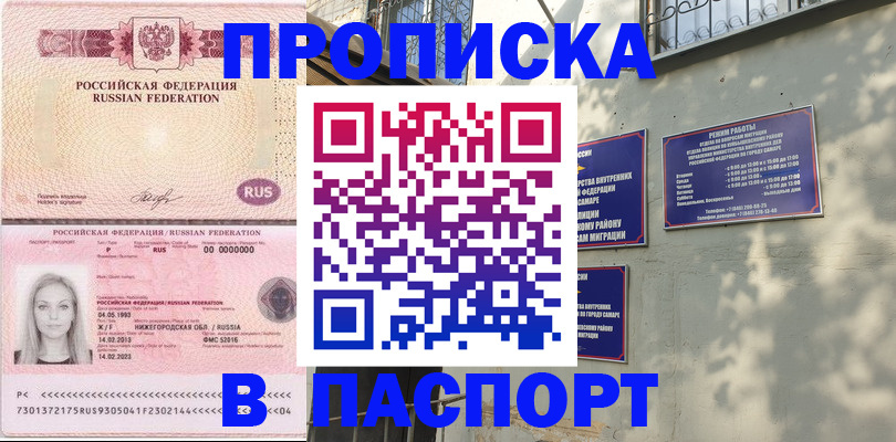 прописка в Кольчугино